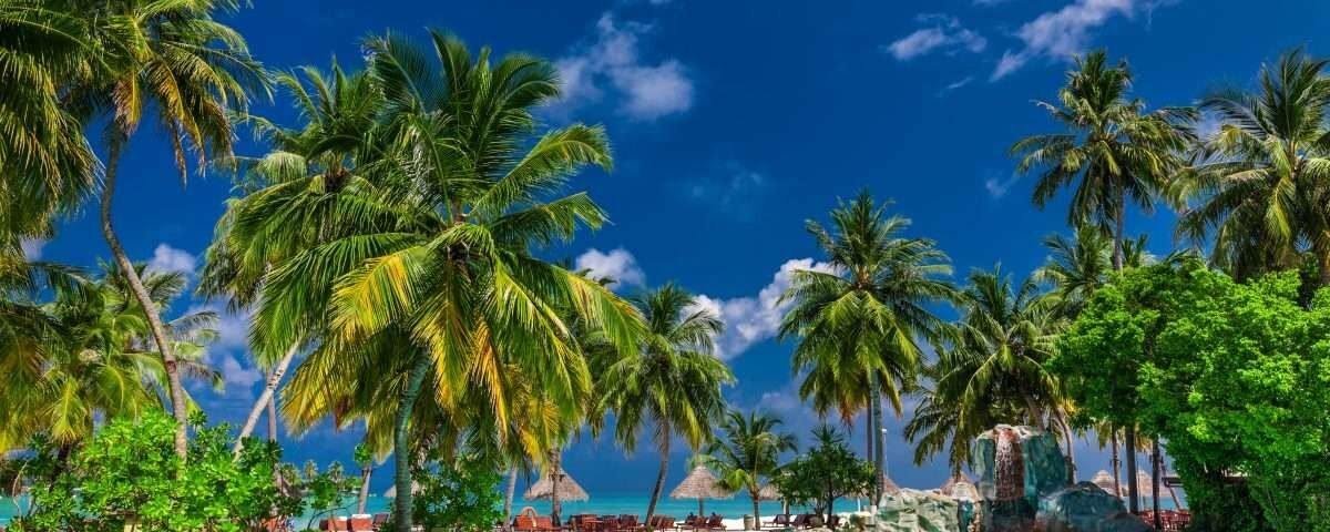 Large infinity swimming pool on the tropical beach with palm trees and umbrellas